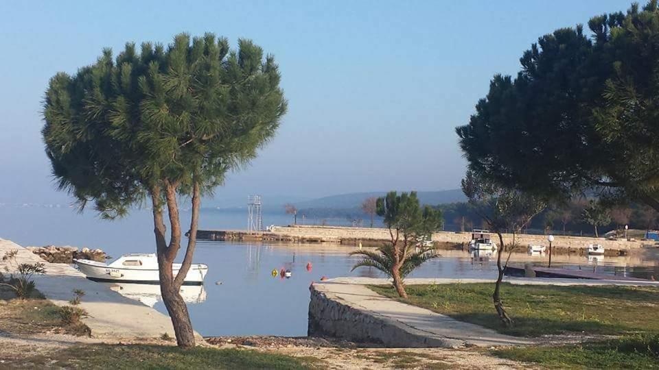 Villa Hana Sveti Petar  Bagian luar foto